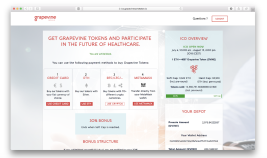 A Step By Step Guide to Investing in Grapevine ICO with BTC